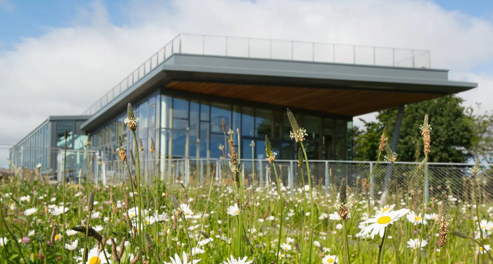 A Sir Robert McAlpine building with a wildflower green roof